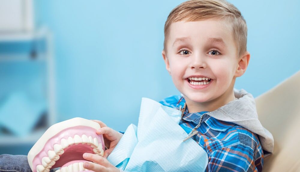 Tooth and Jaw Development - Pittsburgh Dentist